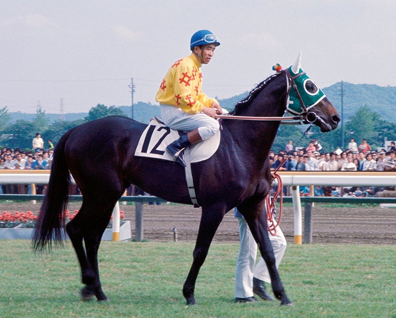1975年の牡馬クラシック路線：たてログ昭和モダン平成レトロ競馬 | た 